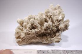 ARAGONITE