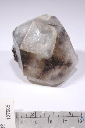 CALCITE