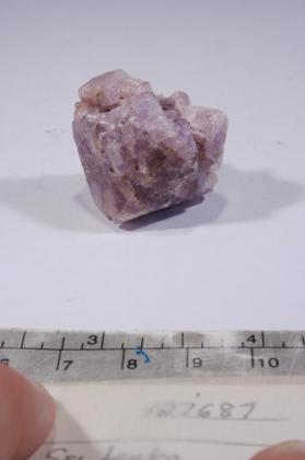 SPINEL
