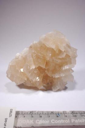 CALCITE