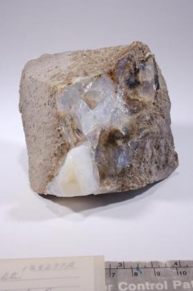 OPAL