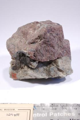 Eudialyte