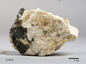 Muscovite