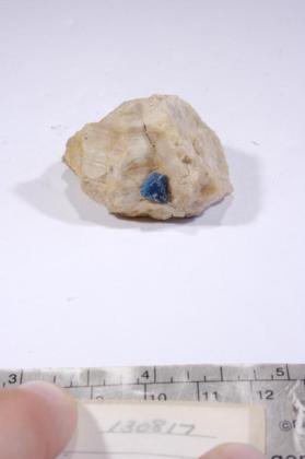 SPINEL