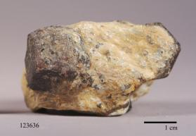 ALMANDINE with STAUROLITE