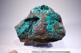 Paratacamite with Atacamite and Brochantite and CHRYSOCOLLA and MALACHITE