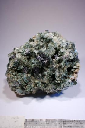 Perovskite with Clinochlore
