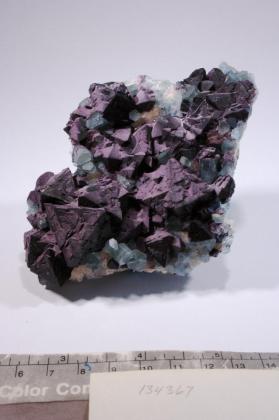 FLUORITE with FLUORAPATITE and Muscovite