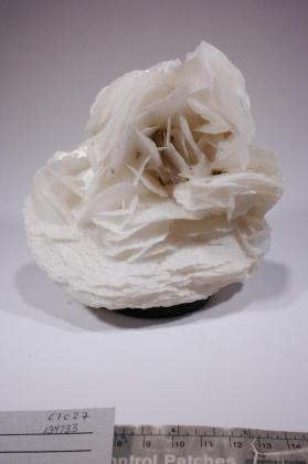 CALCITE