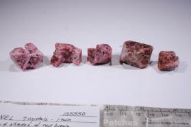 SPINEL
