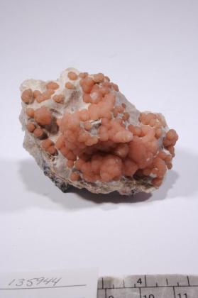 RHODOCHROSITE with Sussexite