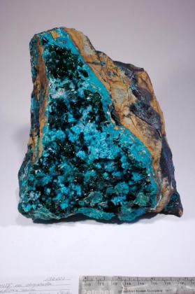 Atacamite with CHRYSOCOLLA