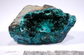 Atacamite with CHRYSOCOLLA and Dioptase