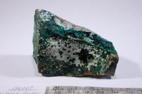 Atacamite with Dioptase and Olivenite