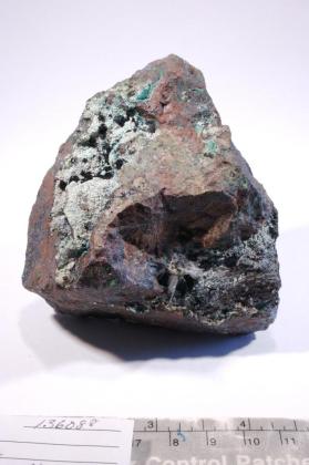 Paratacamite