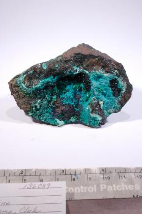 Paratacamite with CHRYSOCOLLA and MALACHITE