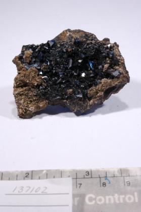 Manganite