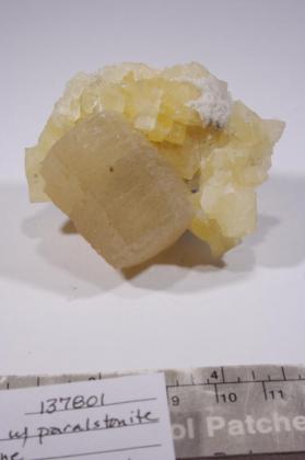 Witherite with CALCITE and Paralstonite
