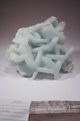 CALCITE with PREHNITE