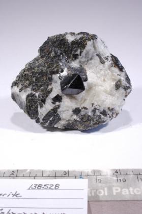 SPINEL