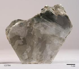 Muscovite