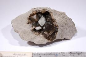 CALCITE