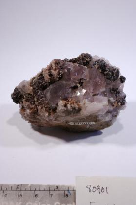 FLUORITE with CALCITE and Siderite