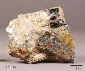 Samarskite-(Y) with Muscovite