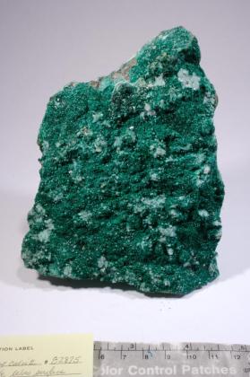 Atacamite