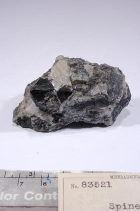 SPINEL