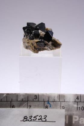 SPINEL