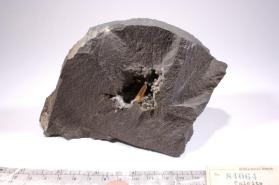 CALCITE