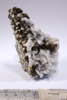 CALCITE