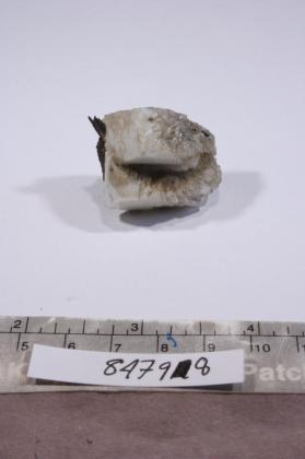 Albite with Aegirine and ORTHOCLASE