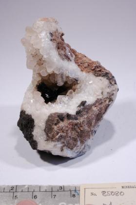 Manganite