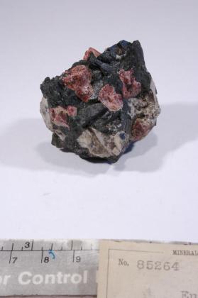 Eudialyte