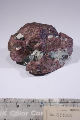 Eudialyte