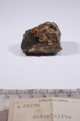 Catapleiite