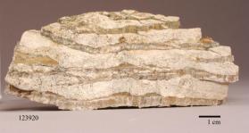 Chrysotile