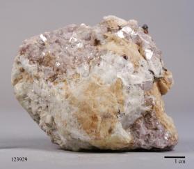 Manganocolumbite with Albite and Lepidolite and MONTEBRASITE