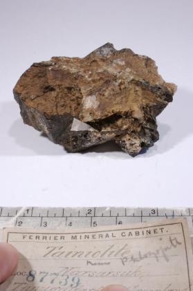 tainiolite