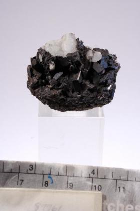 Neptunite