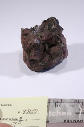 Eudialyte