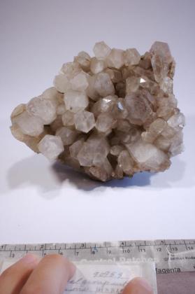 rutilated quartz with RUTILE