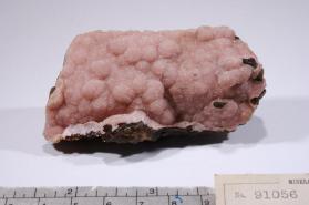 RHODOCHROSITE with Hisingerite