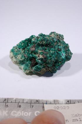 embolite with MALACHITE