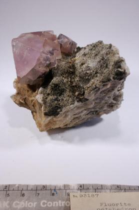 FLUORITE