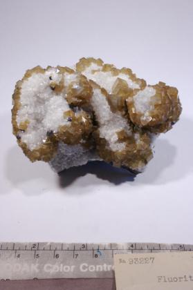 FLUORITE