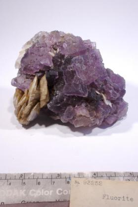 FLUORITE