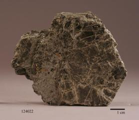 Phlogopite